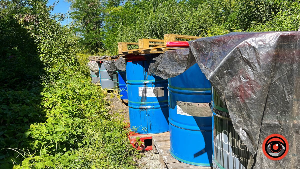 Здохла риба і нестерпний сморід: мешканці Королівки б'ють на сполох через ймовірну екологічну небезпеку 6