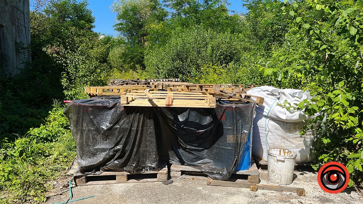 Здохла риба і нестерпний сморід: мешканці Королівки б'ють на сполох через ймовірну екологічну небезпеку 5