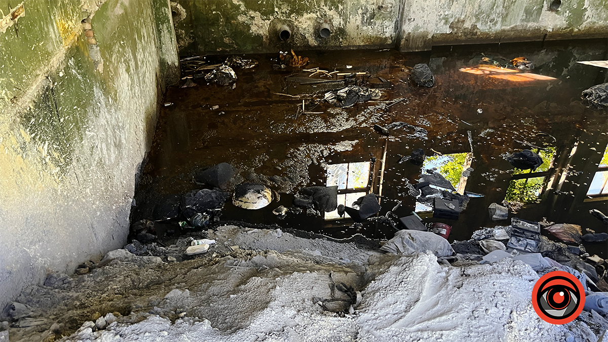 Здохла риба і нестерпний сморід: мешканці Королівки б'ють на сполох через ймовірну екологічну небезпеку 8