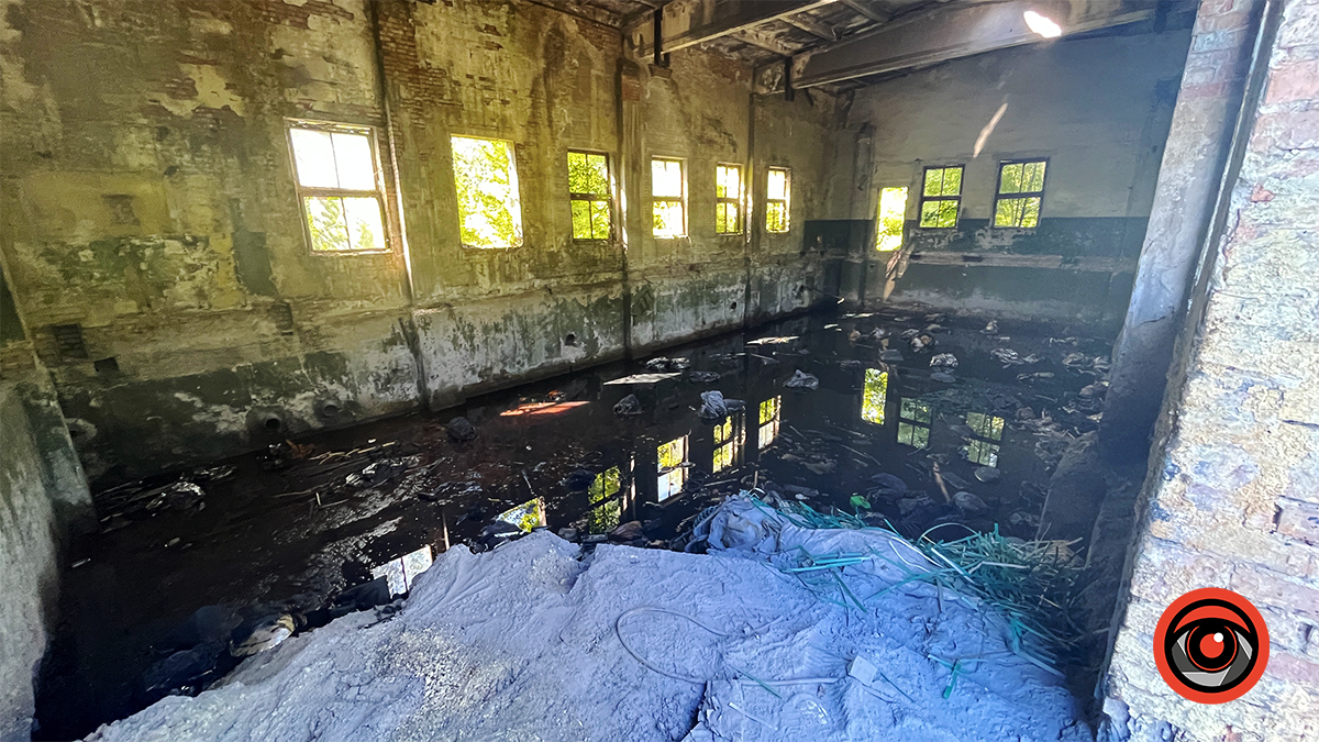 Здохла риба і нестерпний сморід: мешканці Королівки б'ють на сполох через ймовірну екологічну небезпеку 7