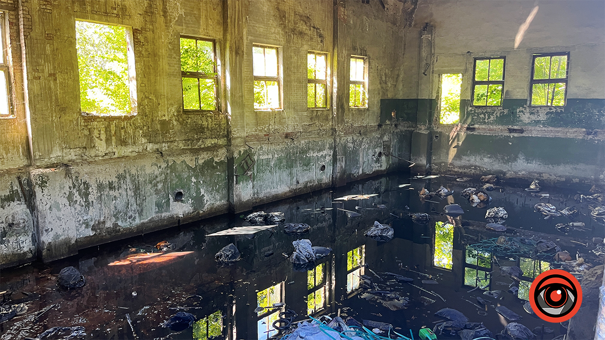 Здохла риба і нестерпний сморід: мешканці Королівки б'ють на сполох через ймовірну екологічну небезпеку