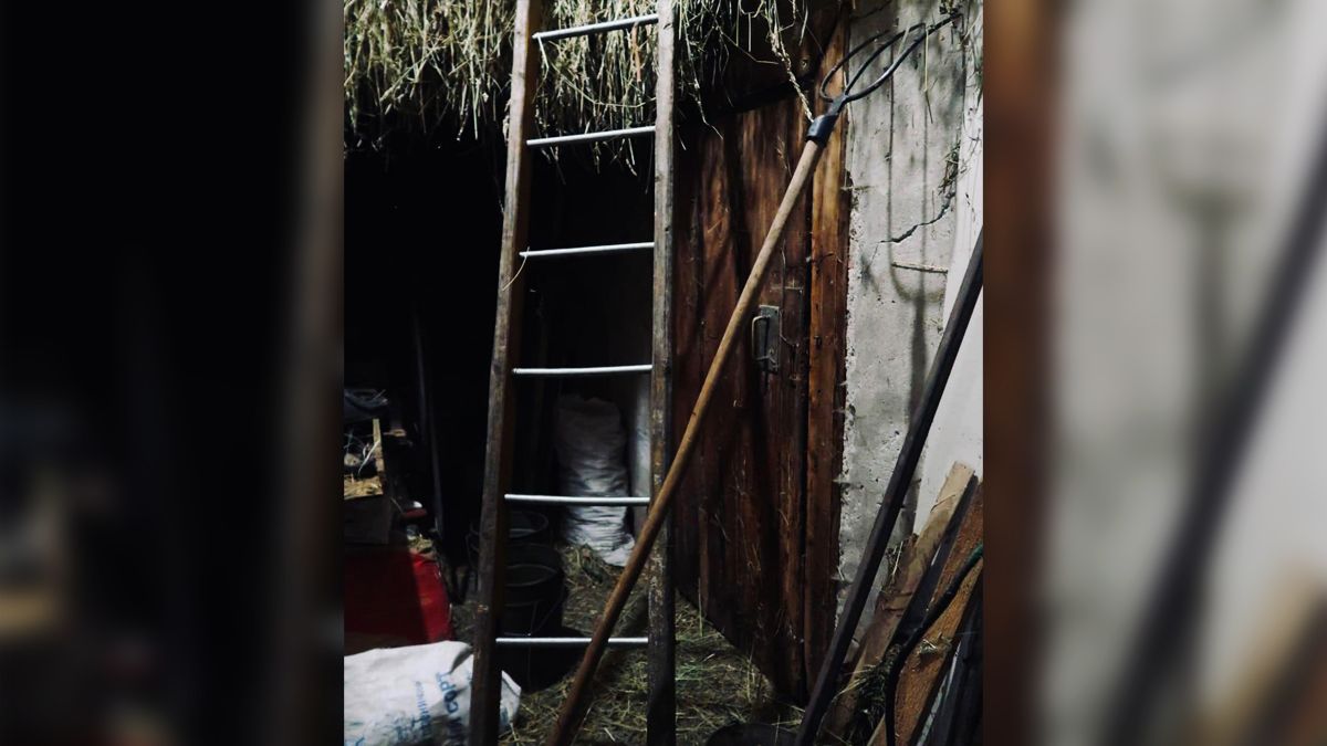 На Прикарпатті чоловік проткнув сусідку вилами 2