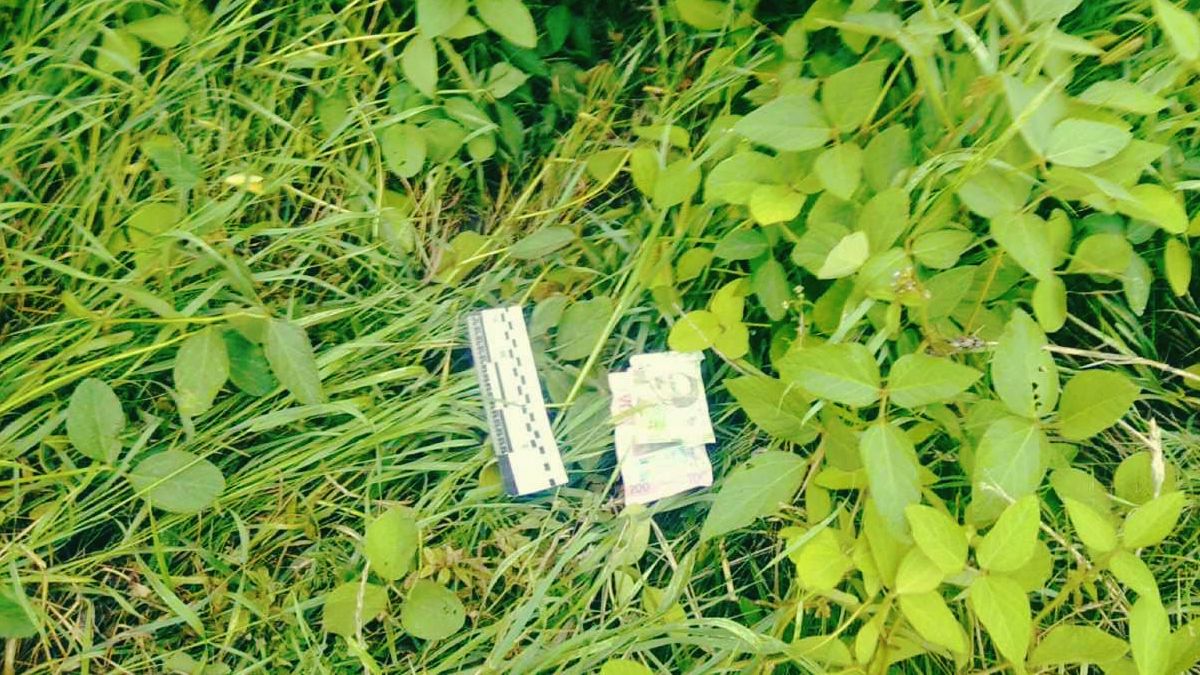 На Прикарпатті чоловік проткнув сусідку вилами 1