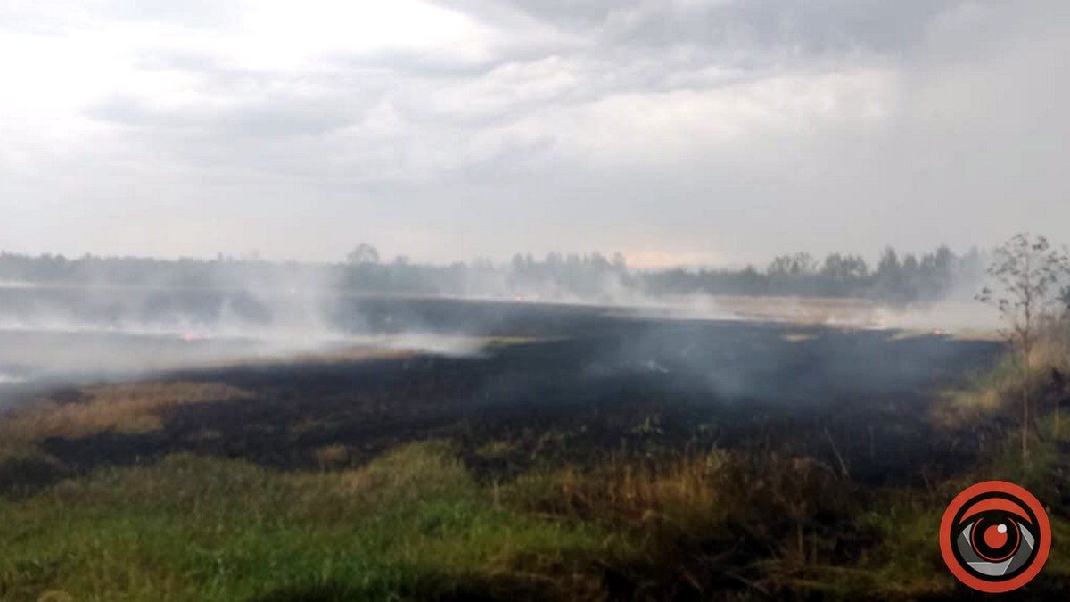 У Ценяві горить стерня, працюють пожежні