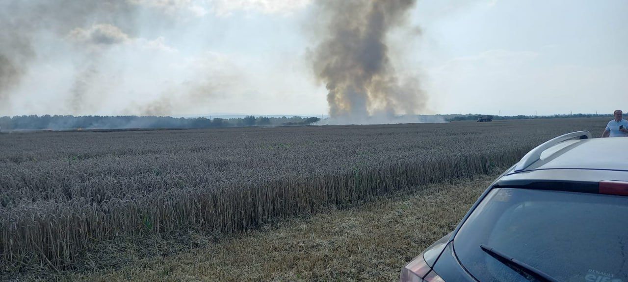 Під Коломиєю горить поле з пшеницею 2