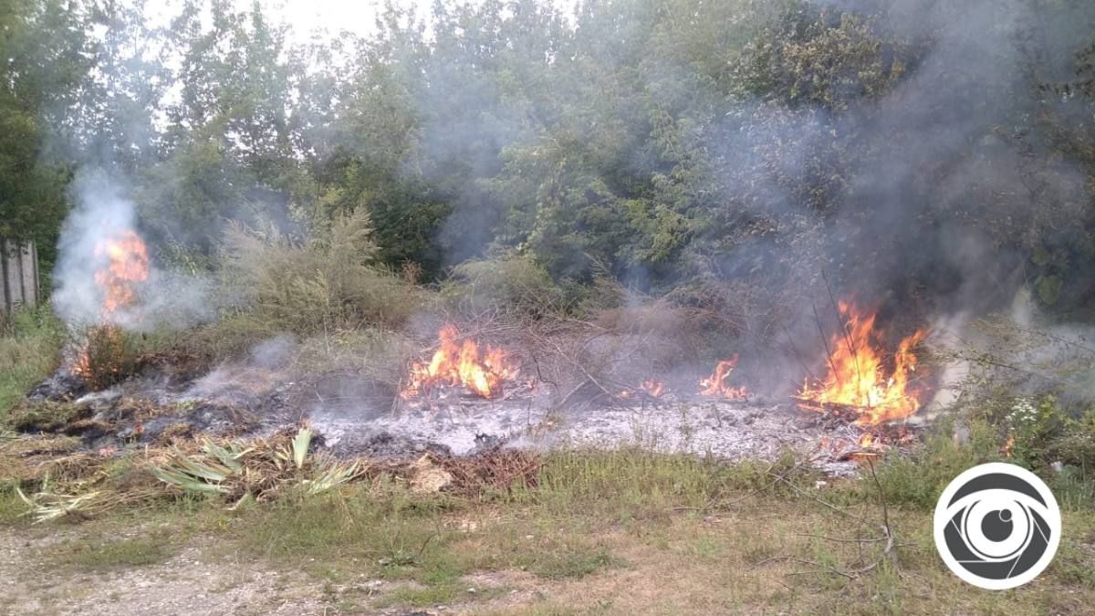 У Городенці виникла пожежа сухої трави 2