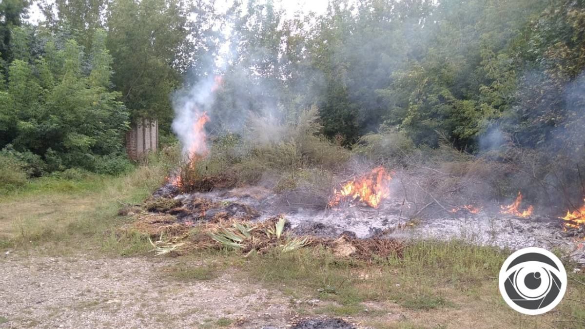 У Городенці виникла пожежа сухої трави 1
