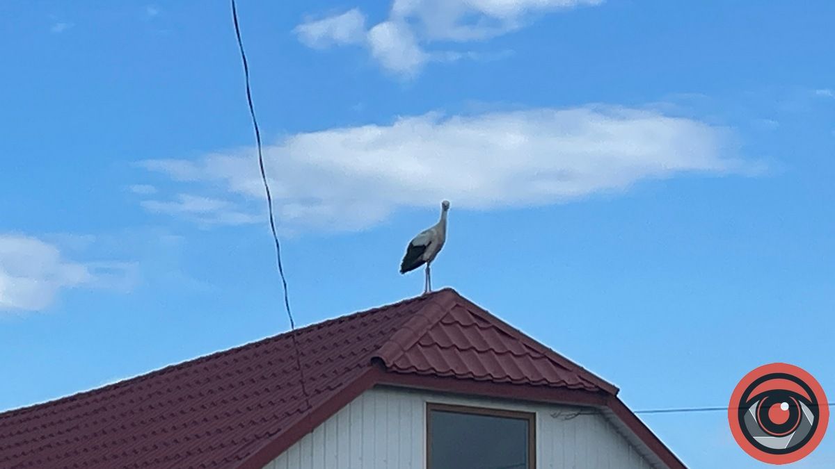 Семаківці: понад пів тисячолітня історія 14