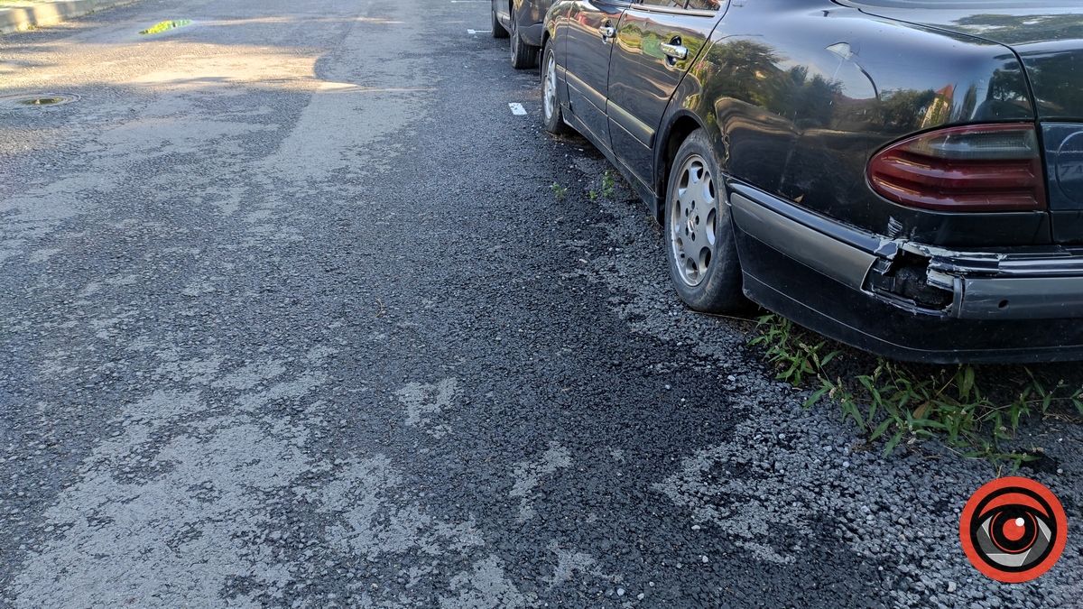 На вул. Новодворського крізь асфальт проростають бур'яни 2