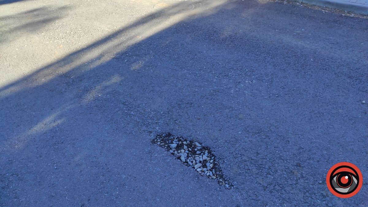 На вул. Новодворського крізь асфальт проростають бур'яни 3