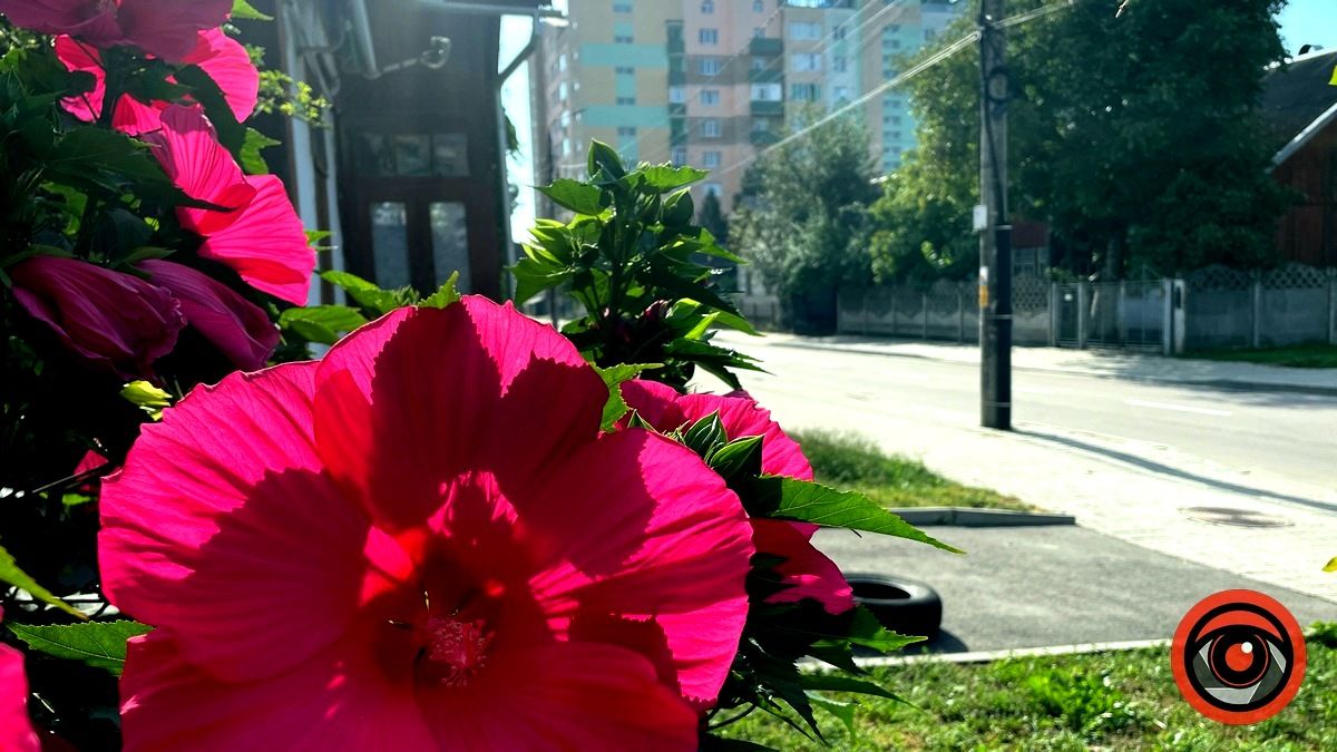 Коломия в серпні: ФОТОРЕПОРТАЖ 18