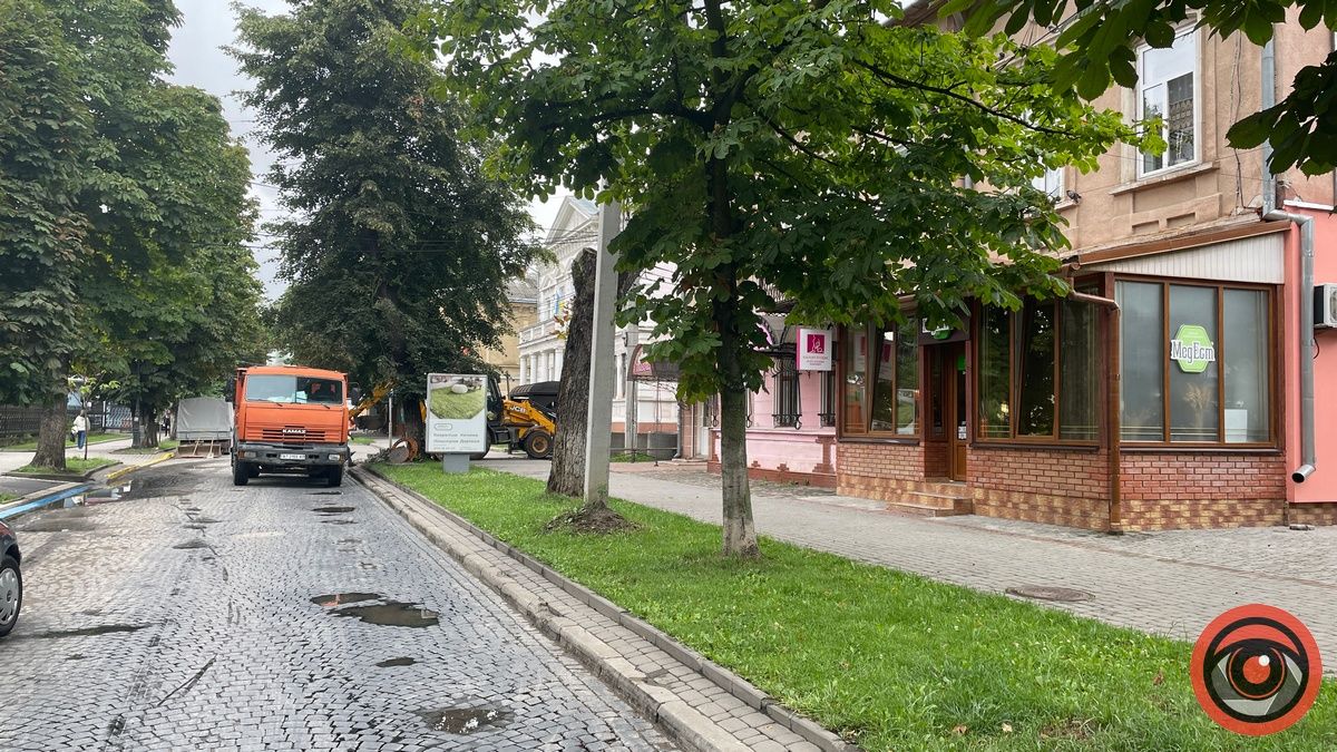 На бульварі Лесі Українки тривають роботи, частково вулицю перекрито 4