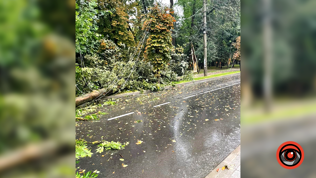 Наслідки нічної негоди у Коломиї 23 серпня | Доповнюється 5