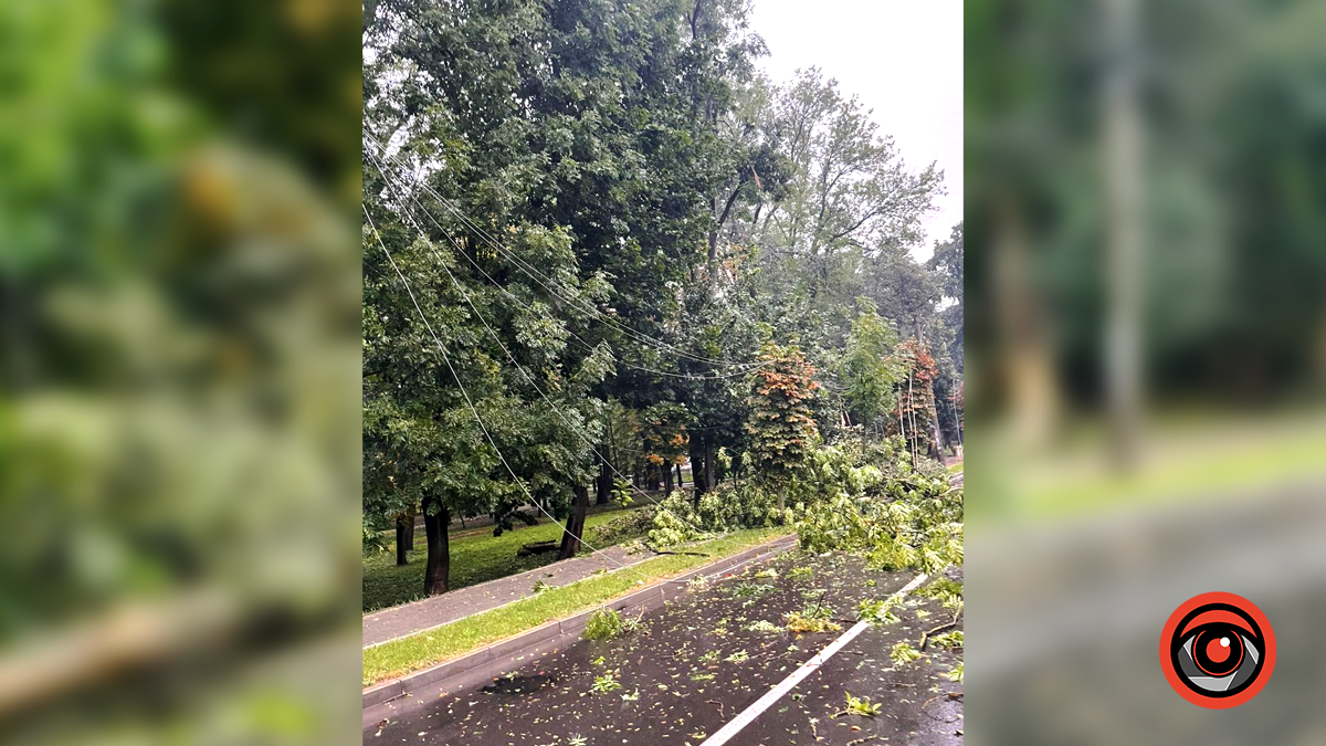 Наслідки нічної негоди у Коломиї 23 серпня | Доповнюється 7