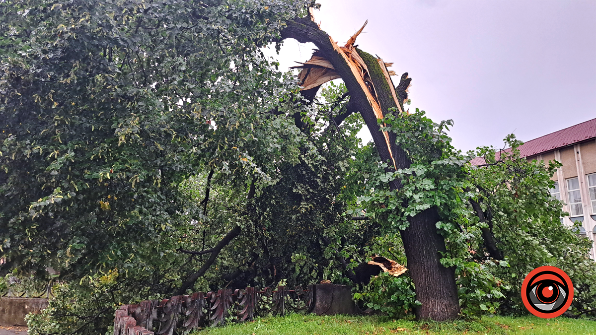 Наслідки нічної негоди у Коломиї 23 серпня | Доповнюється 9