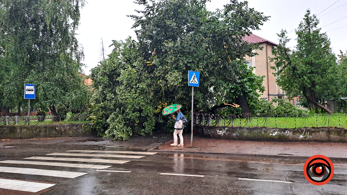 Наслідки нічної негоди у Коломиї 23 серпня | Доповнюється 1