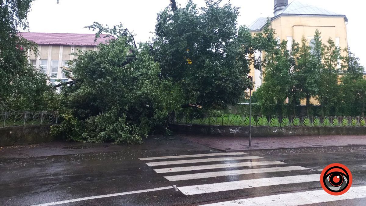 Наслідки нічної негоди у Коломиї 23 серпня | Доповнюється 3