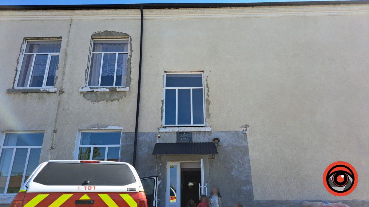 ДСНС ліквідовує гніздо шершнів, яке оселилося всередині школи у Корничі 1