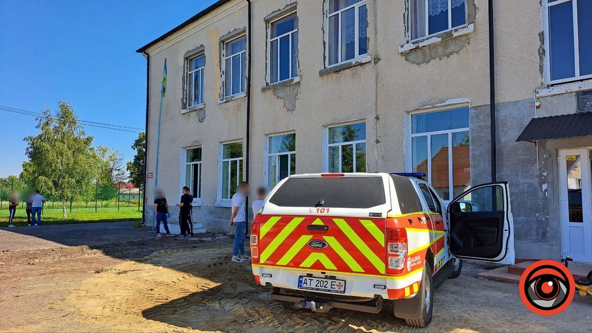 ДСНС ліквідовує гніздо шершнів, яке оселилося всередині школи у Корничі