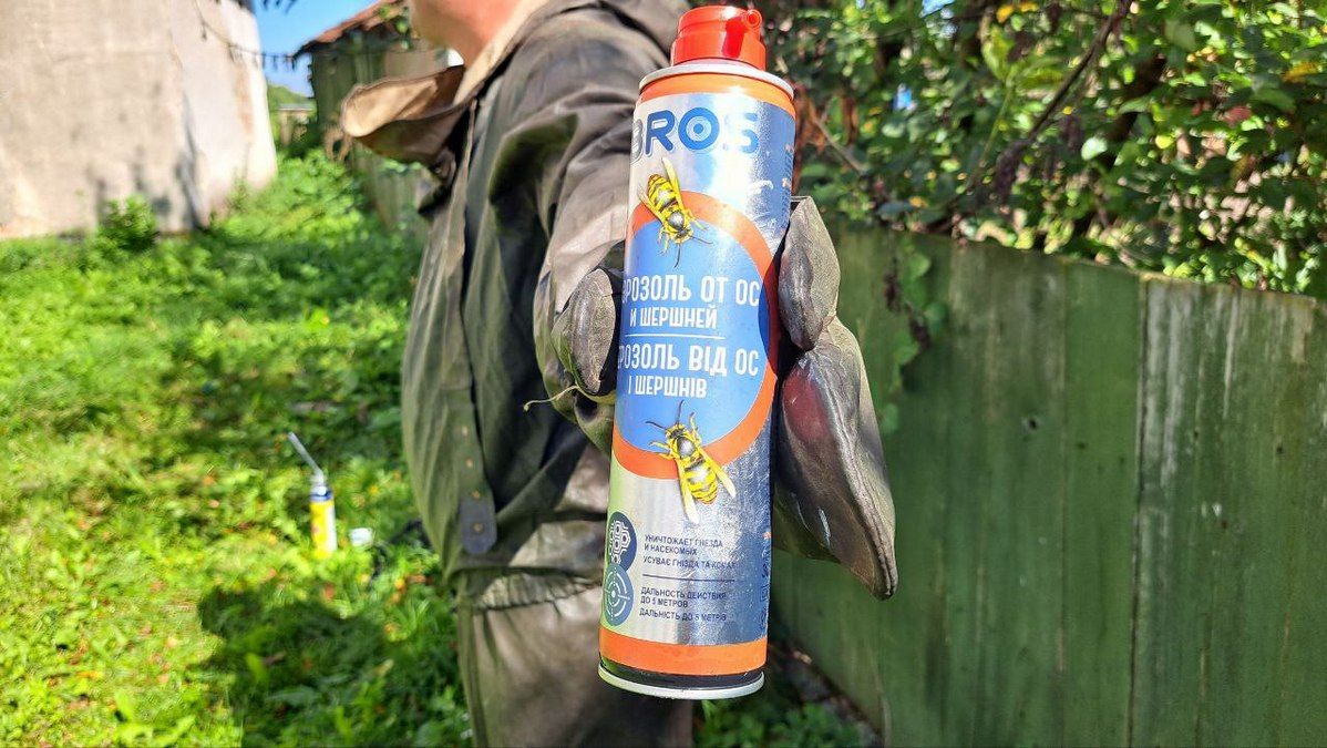 ДСНС ліквідовує гніздо шершнів, яке оселилося всередині школи у Корничі 3