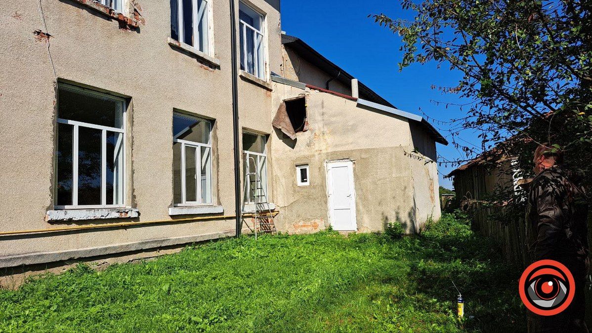 ДСНС ліквідовує гніздо шершнів, яке оселилося всередині школи у Корничі 2