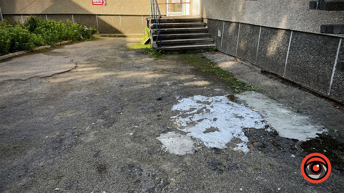 Ями, пияки і бродячі тварини: як виглядає подвір'я садка №3 в Коломиї 15