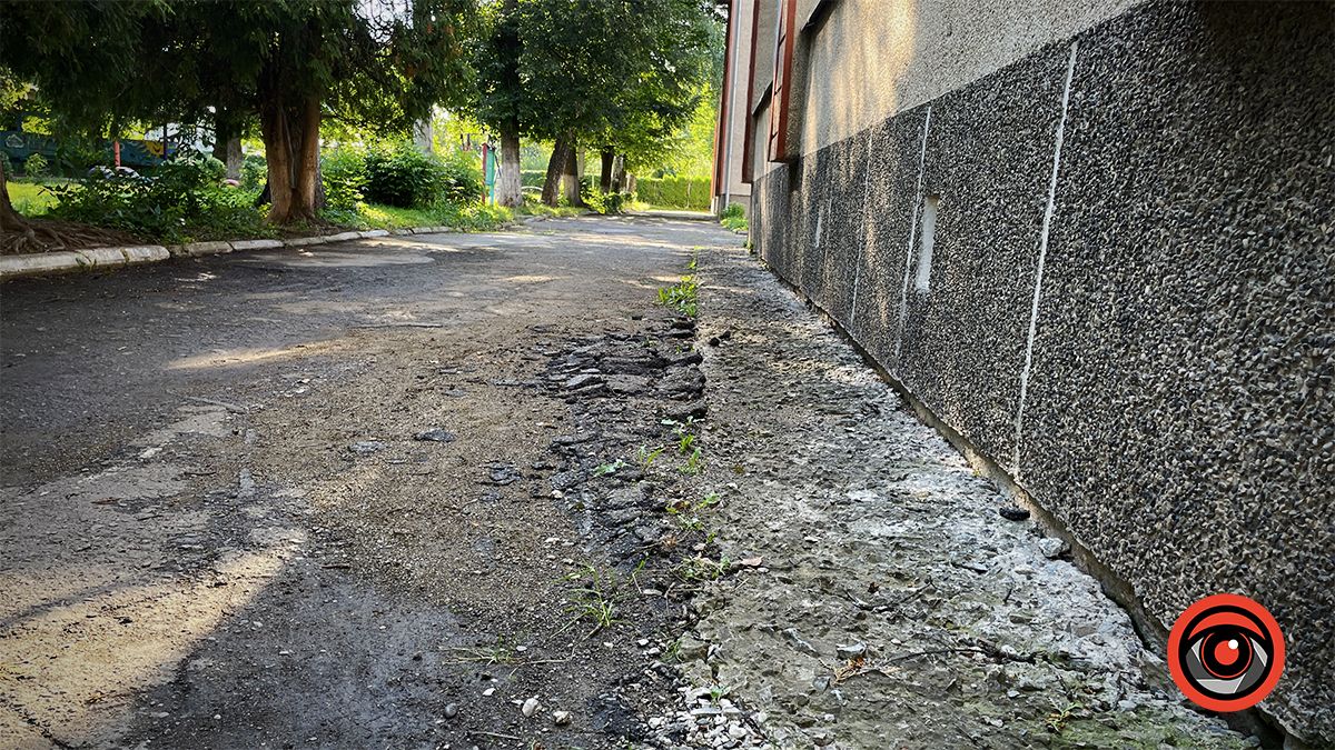 Ями, пияки і бродячі тварини: як виглядає подвір'я садка №3 в Коломиї 14