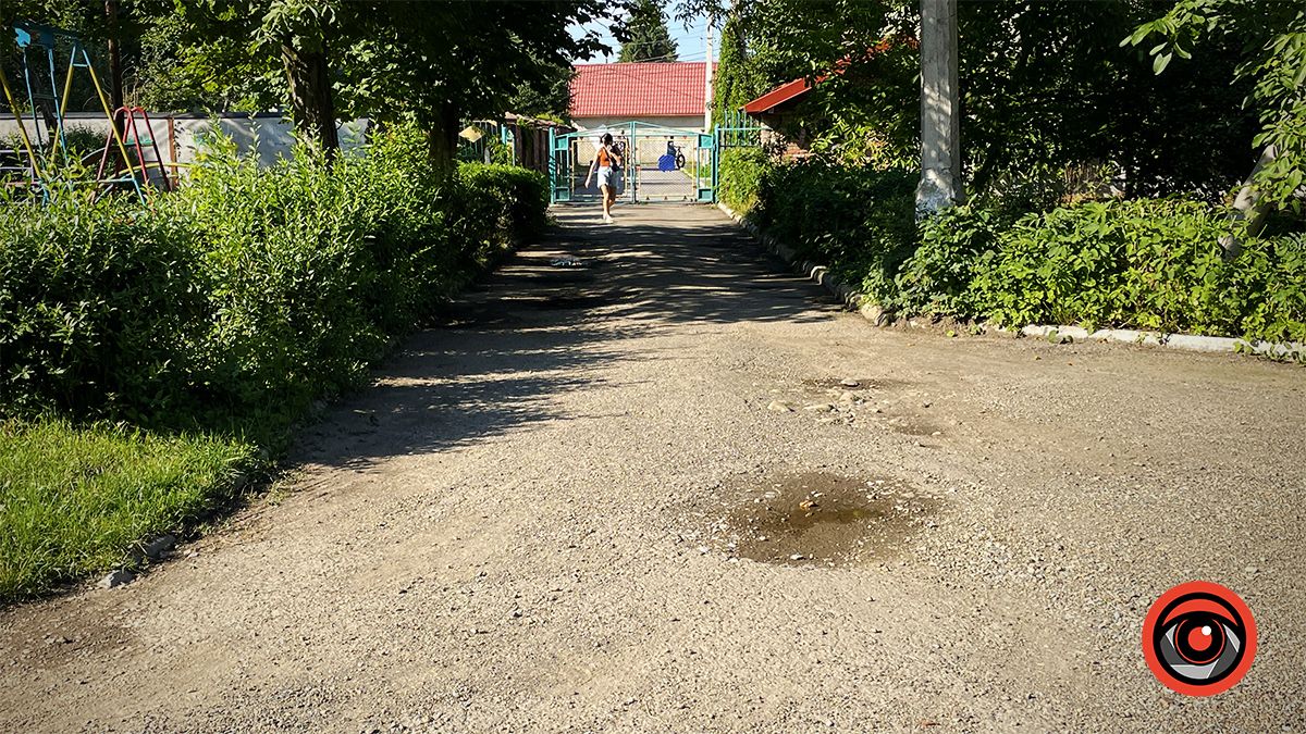 Ями, пияки і бродячі тварини: як виглядає подвір'я садка №3 в Коломиї 21