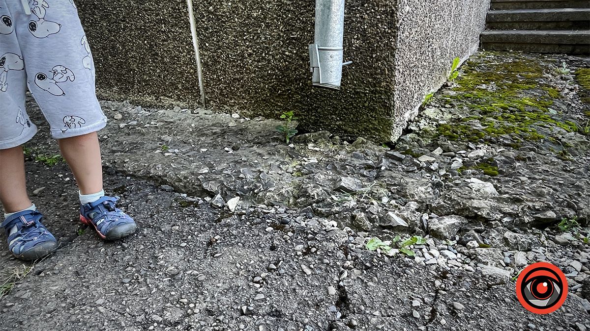 Ями, пияки і бродячі тварини: як виглядає подвір'я садка №3 в Коломиї