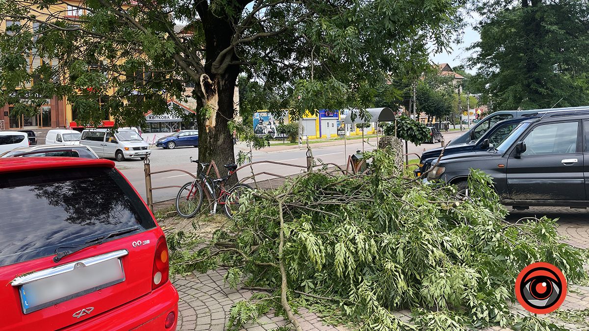 Наслідки нічної негоди у Коломиї 23 серпня | Доповнюється 17