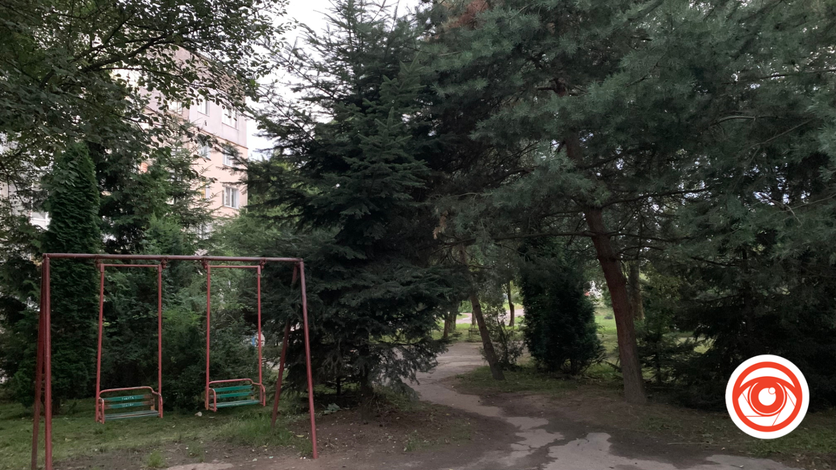 У Калуші мешканці поскаржилися на сусіда, бо він посадив багато дерев перед будинком