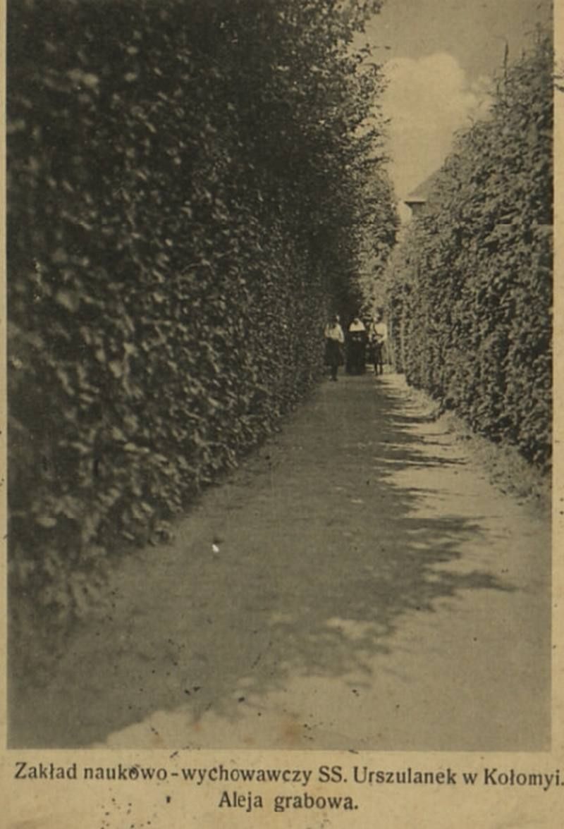 З любов'ю, з Коломиї... | 60 столітніх листівок 44