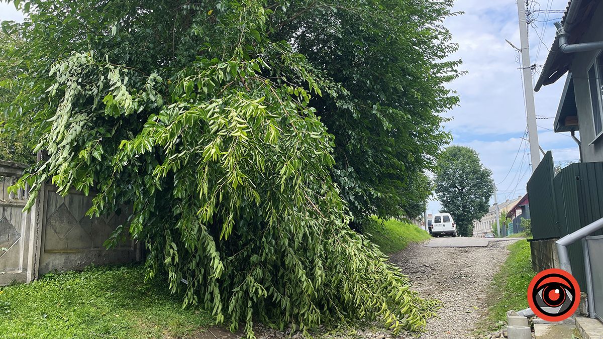 Наслідки нічної негоди у Коломиї 23 серпня | Доповнюється 13