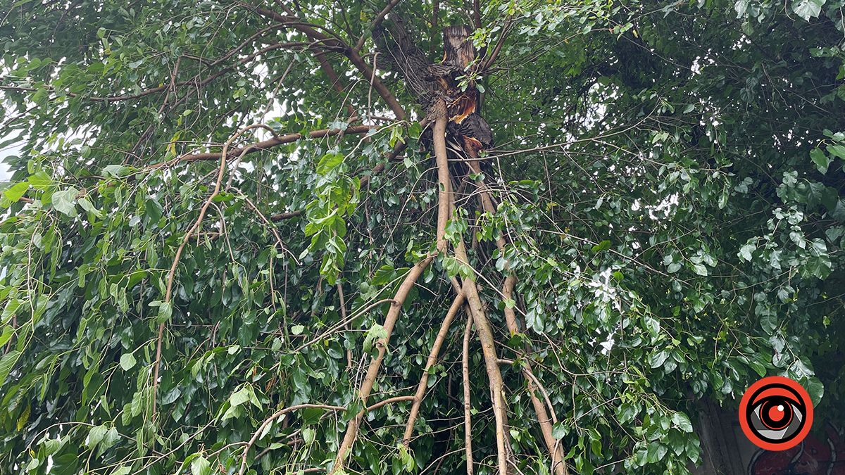 Наслідки нічної негоди у Коломиї 23 серпня | Доповнюється 12