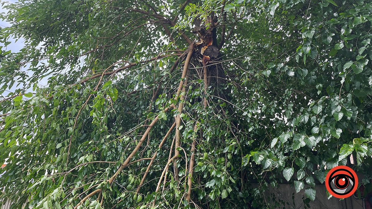 Наслідки нічної негоди у Коломиї 23 серпня | Доповнюється 11