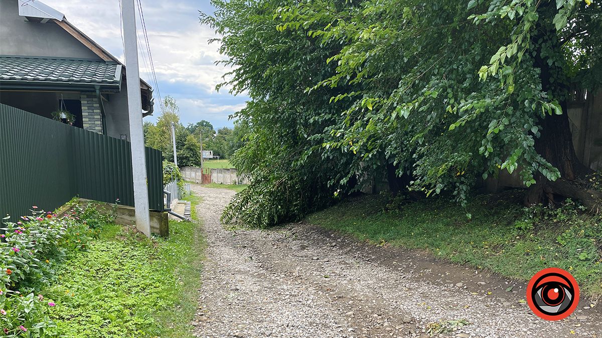 Наслідки нічної негоди у Коломиї 23 серпня | Доповнюється 10