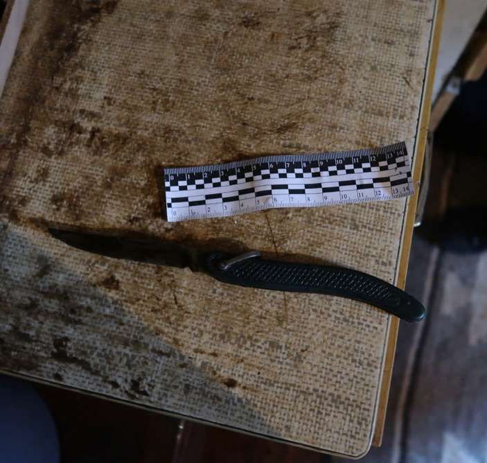 Мешканка Ворохти забила ніж в груди своєму співчарочнику 2