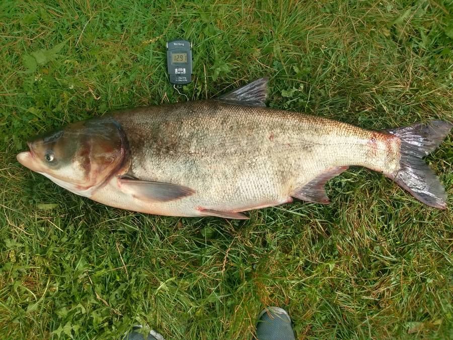 Фото зі сторінки Рибалка С.Богородичин