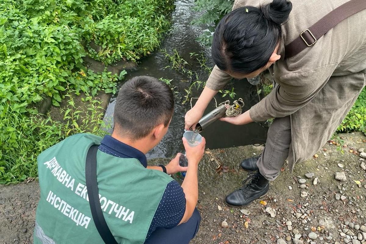 Смердючі води й дохла риба: ситуація у Підгайчиках 2