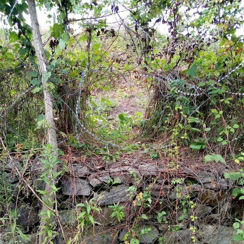 Трьох прикарпатців зупинили прикордонники на Закарпатті, всього за добу - 18 чоловіків 1