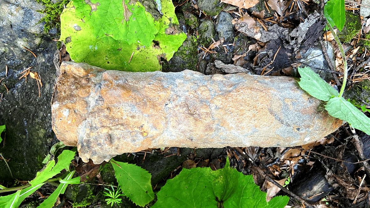 У Коломийському районі піротехніки знешкодили боєприпаси часів ІІ Світової війни 1