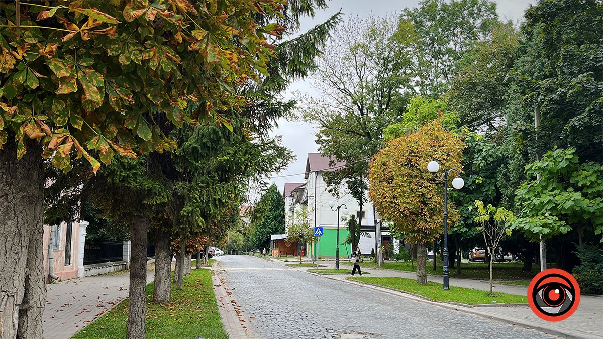 Похмура неділя у Коломиї | Фоторепортаж 2