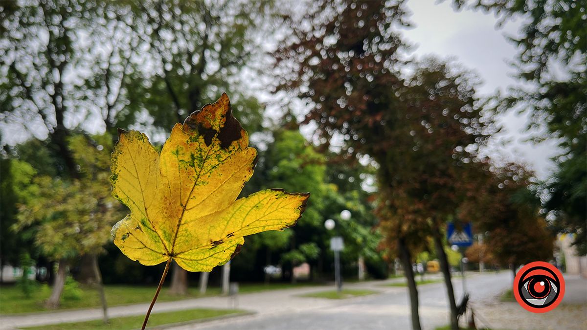 Похмура неділя у Коломиї | Фоторепортаж 6