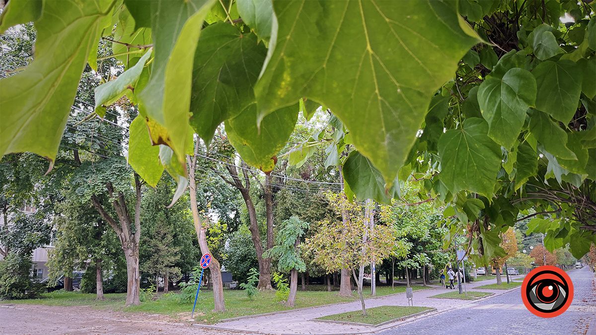 Похмура неділя у Коломиї | Фоторепортаж 1