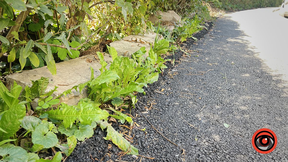 Катай як-небудь: нові тротуари на Лисенка в Коломиї 3