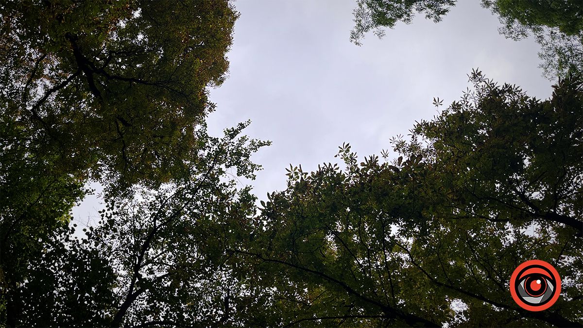 Похмура неділя у Коломиї | Фоторепортаж 11