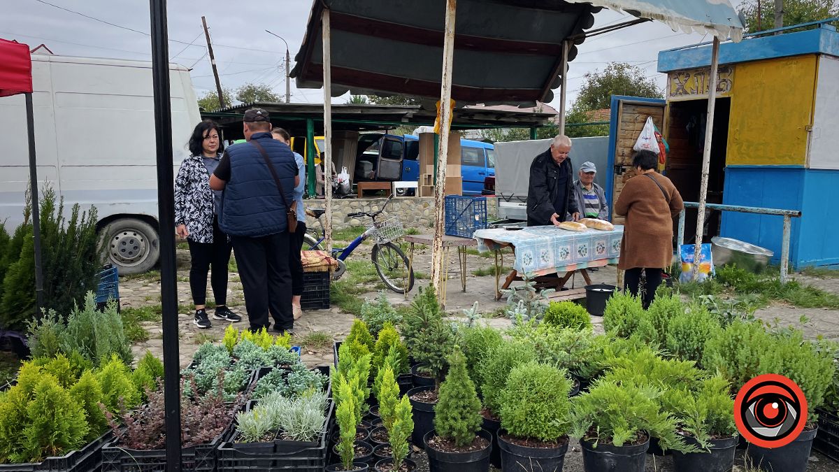 Базарний день: фоторепортаж Торговиці у Коломиї 14