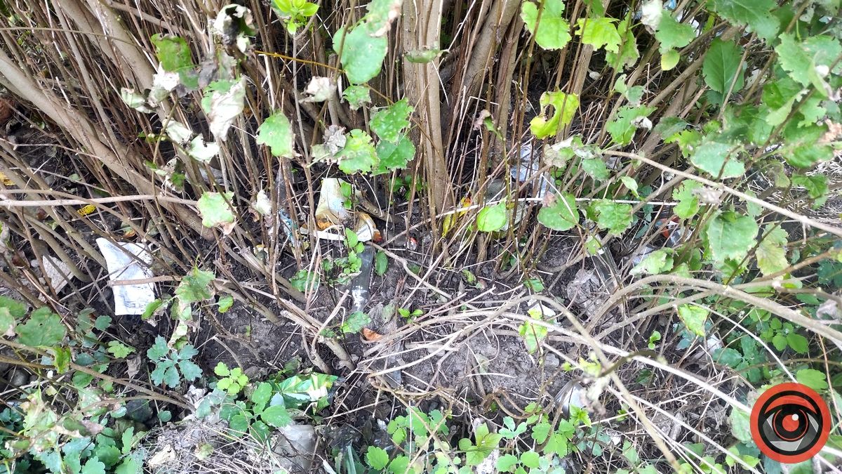 Ворог поміж нас: як коломияни забруднюють русла міських потічків 2