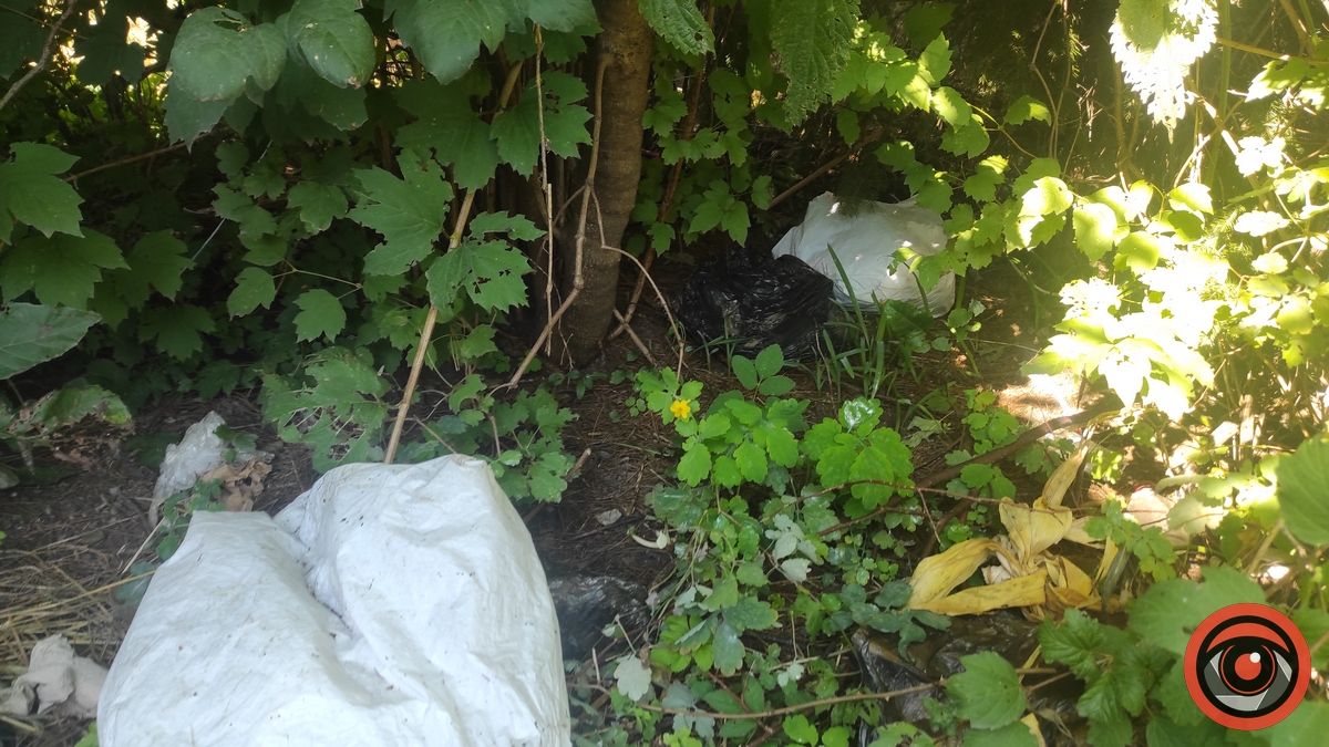 Ворог поміж нас: як коломияни забруднюють русла міських потічків 1