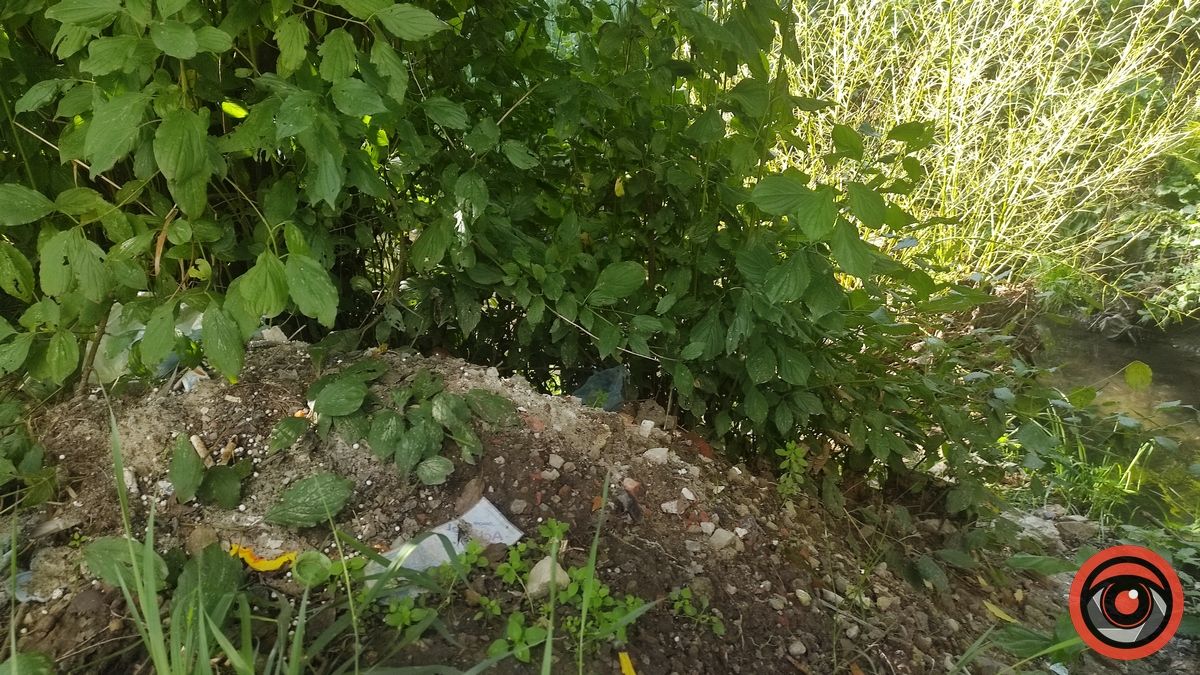 Ворог поміж нас: як коломияни забруднюють русла міських потічків 6
